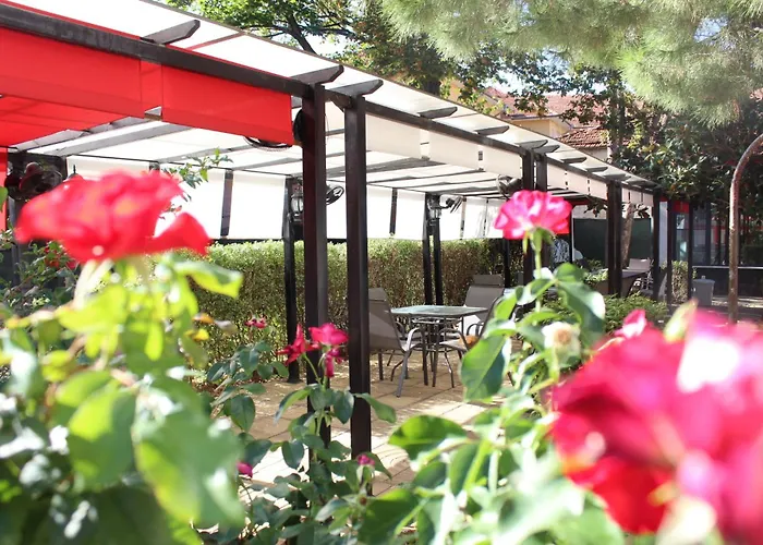 колор Асеновград